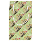 Capybara Kleine Geschenktüte (Vorderseite)