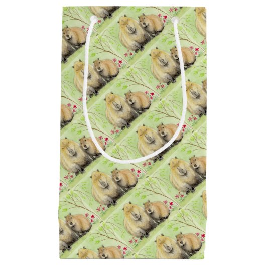 Capybara Kleine Geschenktüte (Vorderseite)