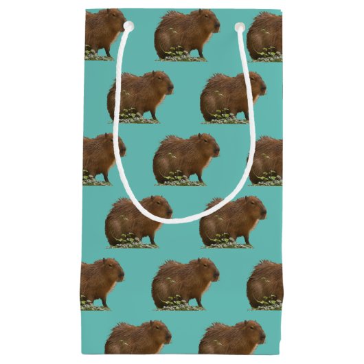 Capybara Kleine Geschenktüte (Vorderseite)