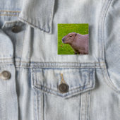 Capybara-Knopf Button (Beispiel)