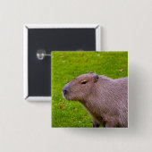 Capybara-Knopf Button (Vorne & Hinten)