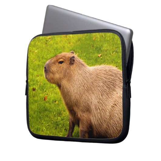 Capybara Laptopschutzhülle (Vorderseite Links)