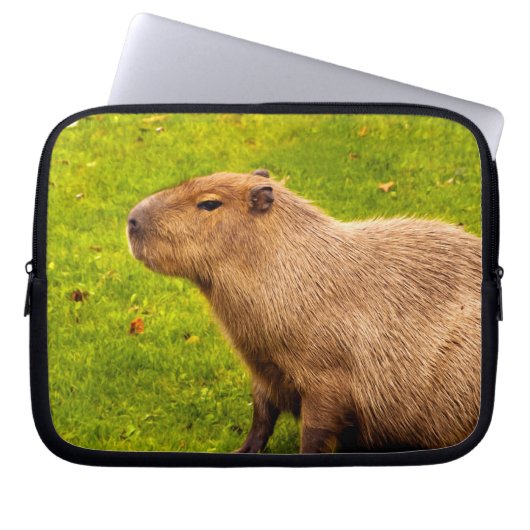 Capybara Laptopschutzhülle (Vorderseite)