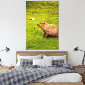 Capybara Leinwanddruck (Insitu (Schlafzimmer))