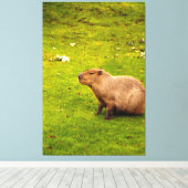 Capybara Leinwanddruck (Insitu (Holzboden))