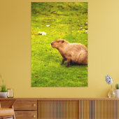 Capybara Leinwanddruck (Insitu (Wohnzimmer))