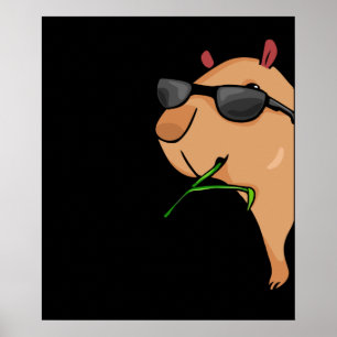 Capybara Lover Women Capybara Geschenk Männer Capy Poster
