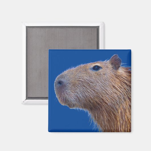 Capybara Magnet (Vorderseite/Rückseite)