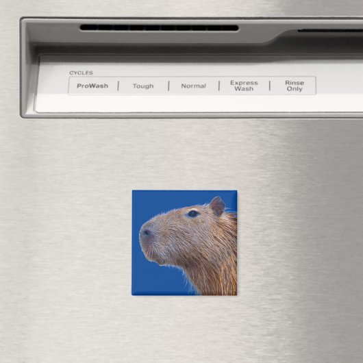 Capybara Magnet (In Situ (Geschirrspüler))