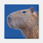 Capybara Magnet (Vorne)