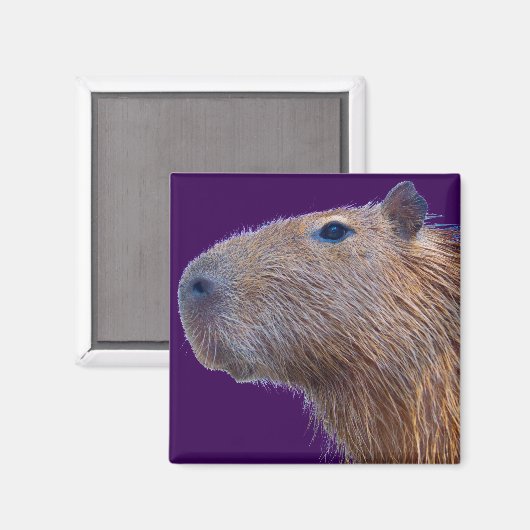 Capybara Magnet (Vorderseite/Rückseite)