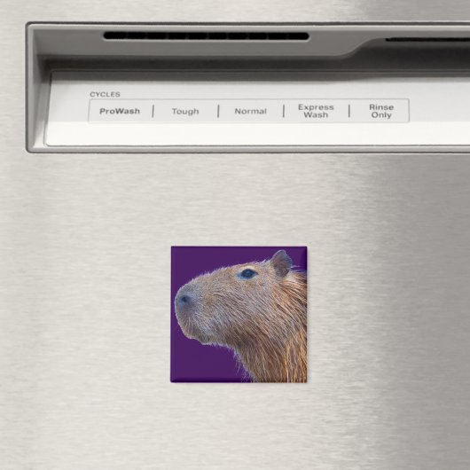 Capybara Magnet (In Situ (Geschirrspüler))