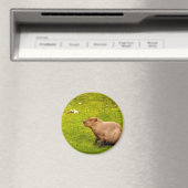 Capybara Magnet (In Situ (Geschirrspüler))
