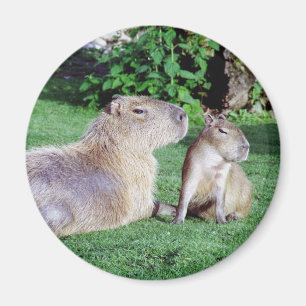 Capybara-Mama und Sohn-Magnet Magnet