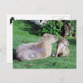 Capybara Mama und Sohn Postkarte (Vorne/Hinten)