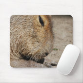 Capybara-Mausunterlage Mousepad (Mit Mouse)