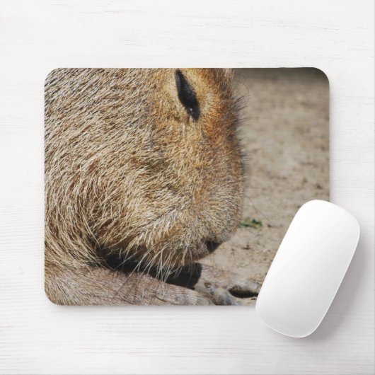 Capybara-Mausunterlage Mousepad (Mit Mouse)
