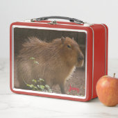 Capybara Metall Brotdose (Beispiel)