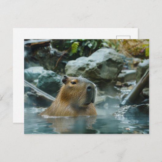 Capybara mit heißem Frühling Postkarte (Vorne/Hinten)