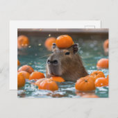 Capybara mit schwimmenden Orangen Postkarte (Vorne/Hinten)