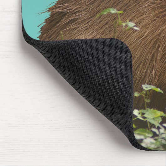 Capybara Mousepad (Ecke)