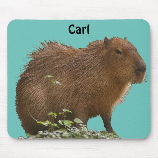 Capybara Mousepad (Vorne)