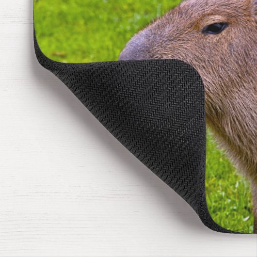 Capybara Mousepad (Ecke)