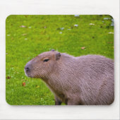 Capybara Mousepad (Vorne)