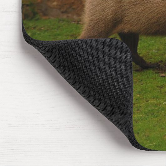 Capybara Mousepad (Ecke)