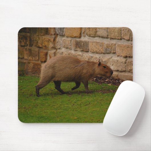 Capybara Mousepad (Mit Mouse)