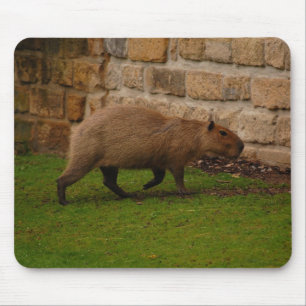 Capybara Mousepad
