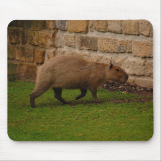 Capybara Mousepad