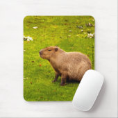 Capybara Mousepad (Mit Mouse)