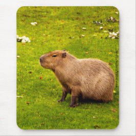 Capybara Mousepad