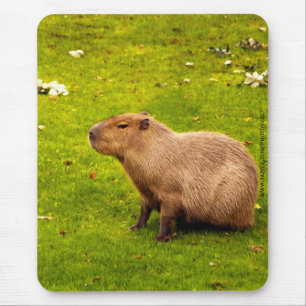 Capybara Mousepad