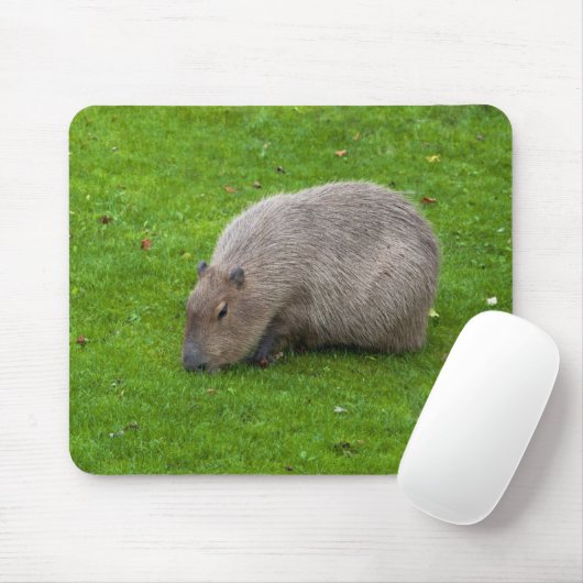 Capybara Mousepad (Mit Mouse)