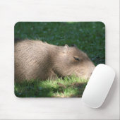 Capybara Mousepad (Mit Mouse)