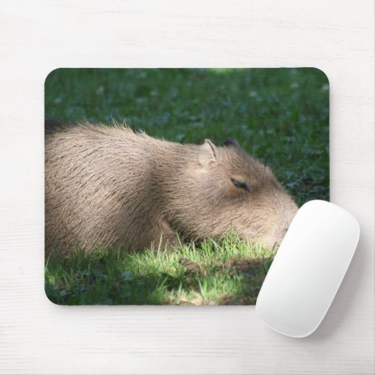 Capybara Mousepad (Mit Mouse)