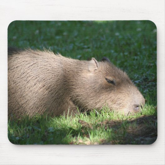 Capybara Mousepad (Vorne)