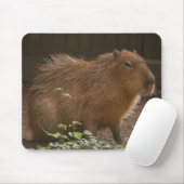 Capybara Mousepad (Mit Mouse)