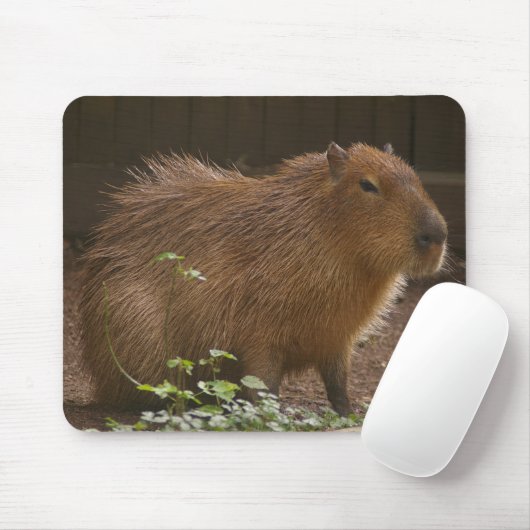 Capybara Mousepad (Mit Mouse)