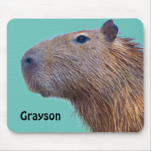 Capybara Mousepad