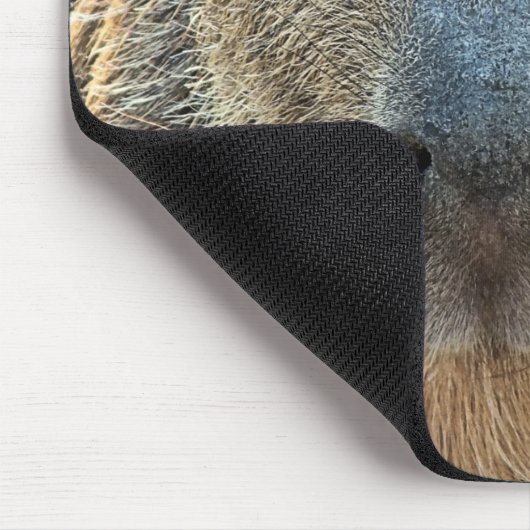 CAPYBARA MOUSEPAD (Ecke)