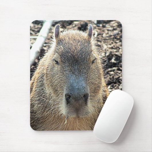 CAPYBARA MOUSEPAD (Mit Mouse)