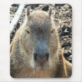 CAPYBARA MOUSEPAD (Vorne)