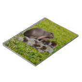 Capybara Mummy mit Babys, Notebook Notizblock (Linke Seite)