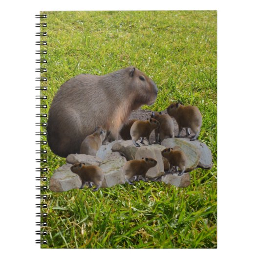 Capybara Mummy mit Babys, Notebook Notizblock (Vorderseite)