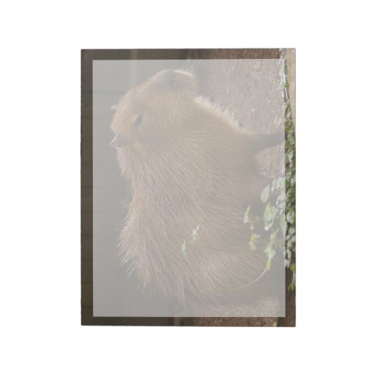 Capybara Notizblock (Rotiert)