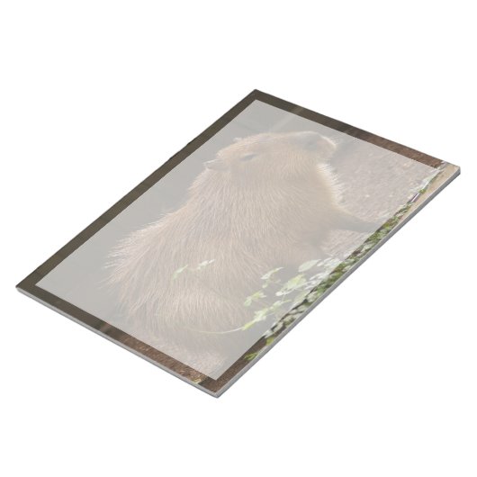 Capybara Notizblock (angewinkelt)