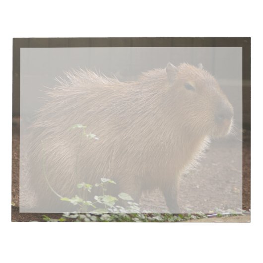Capybara Notizblock (Vorderseite)